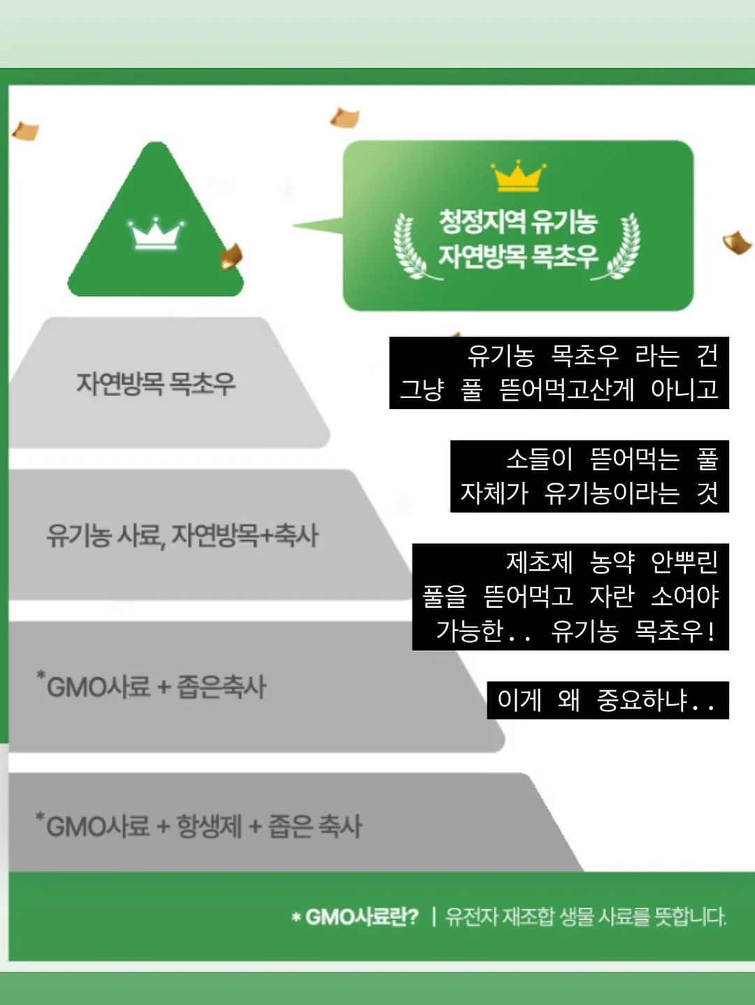 대파 보관 방법 17