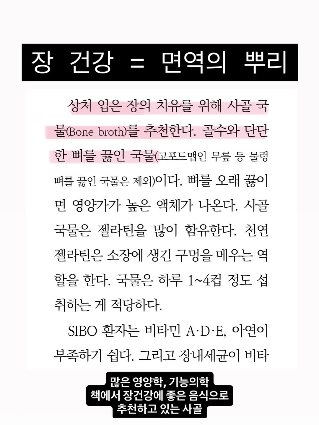 대파 보관 방법 4