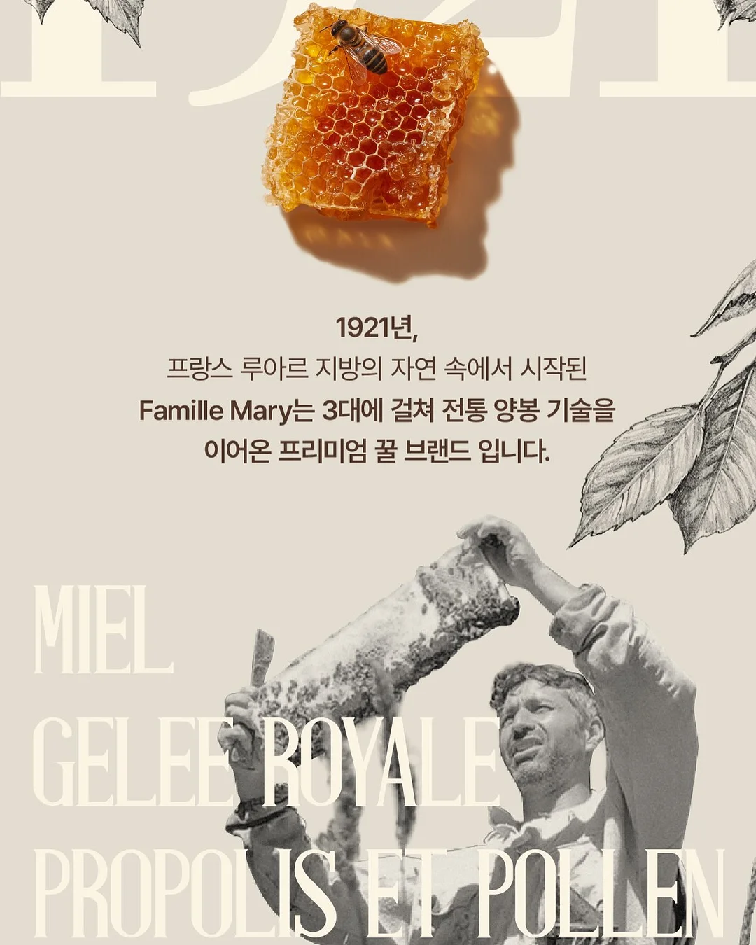 식단 관리템 13