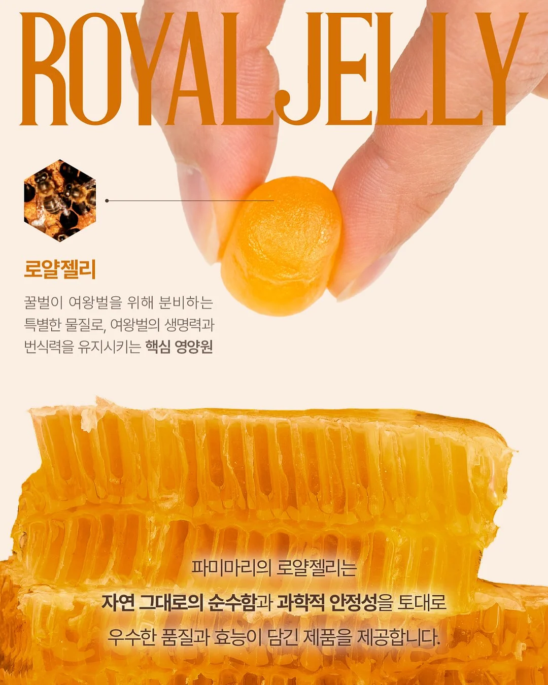 식단 관리템 18