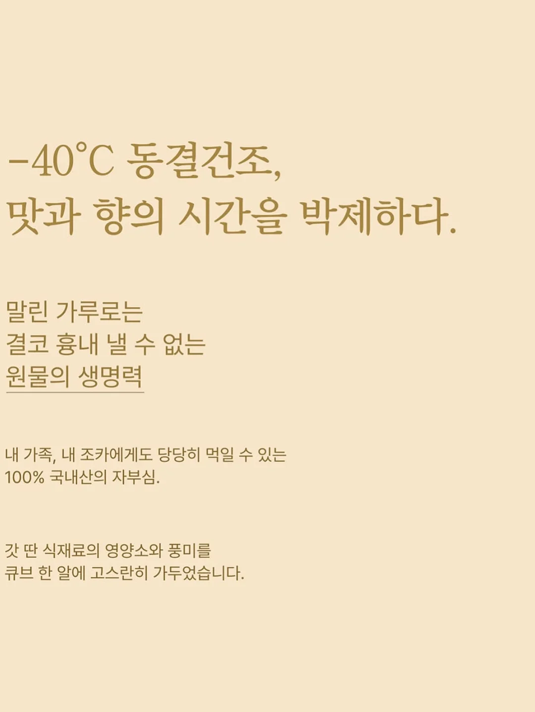 대형식물식재하기 9