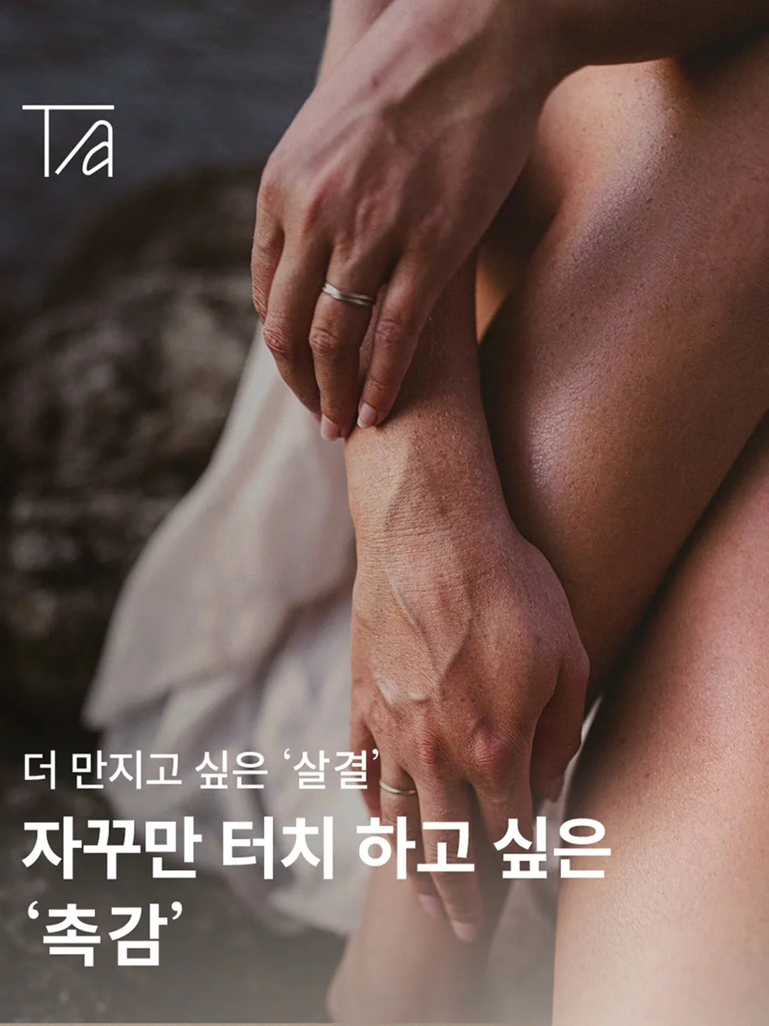 케이크각봉 5
