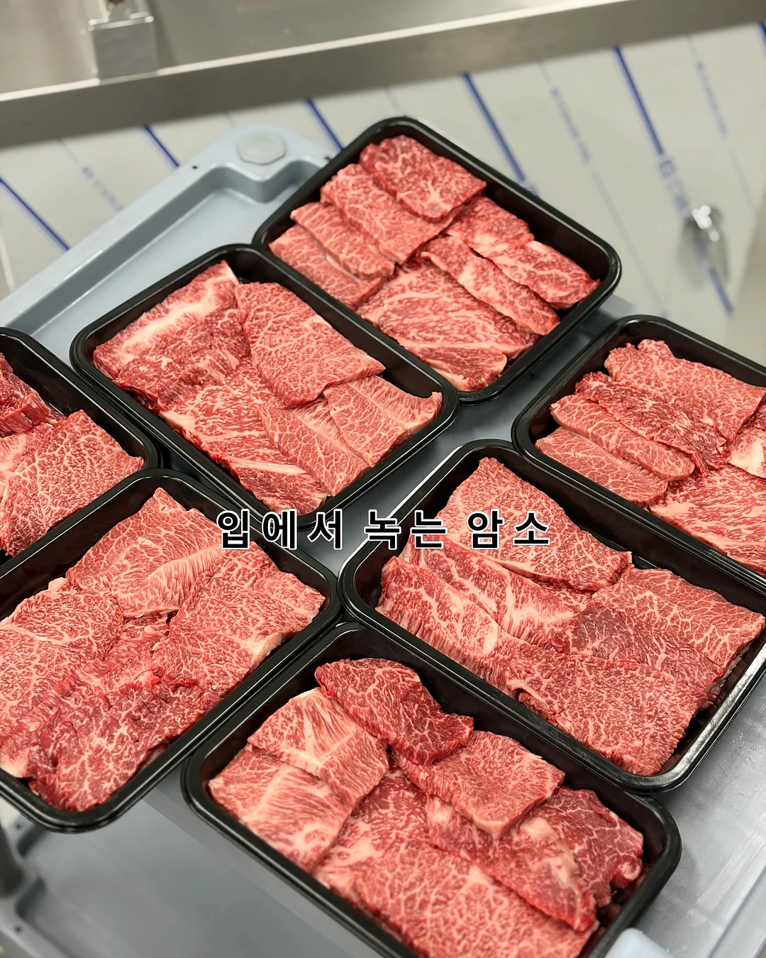 빵 프로젝트 활동지 1