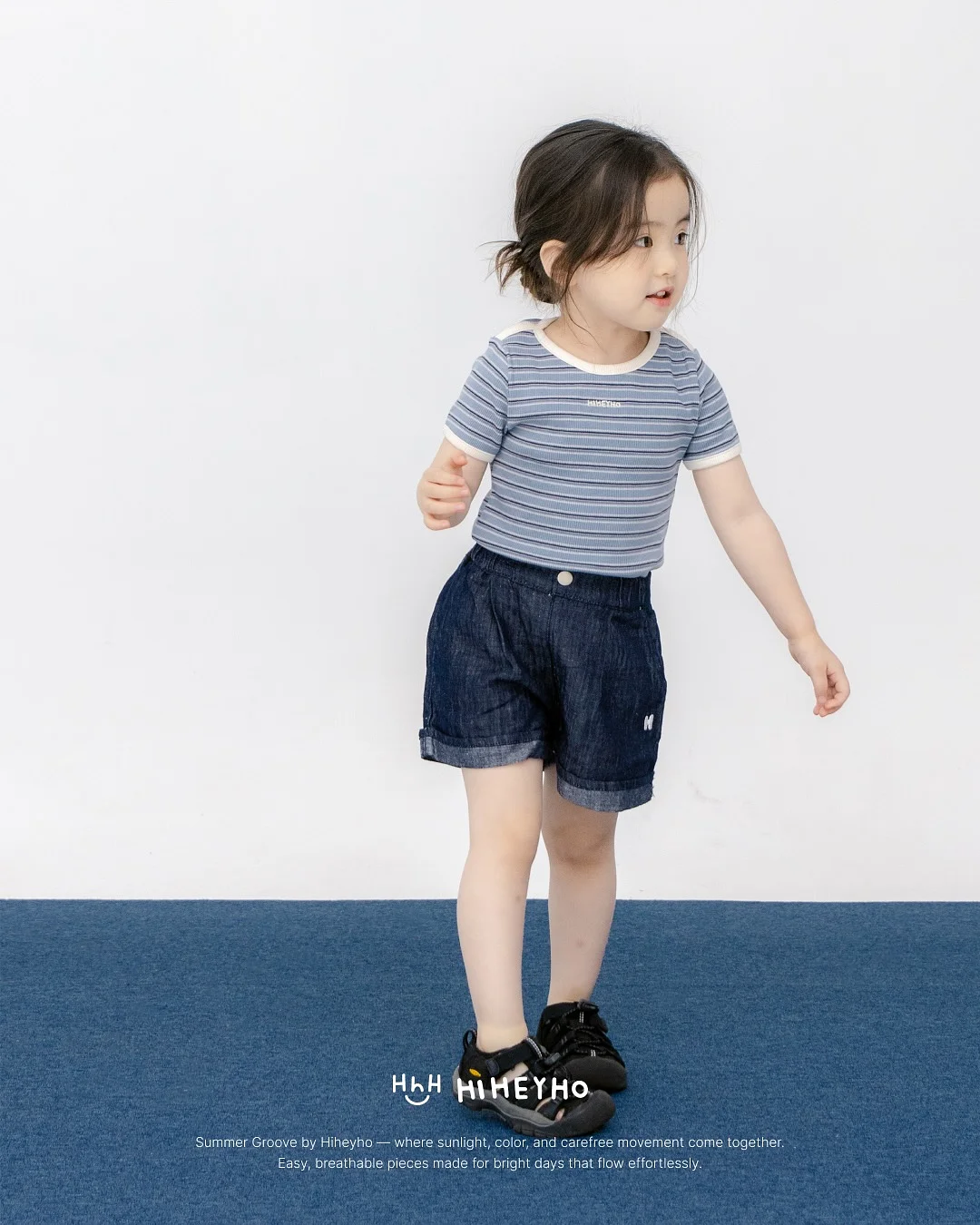 카네이션 화분포트 10