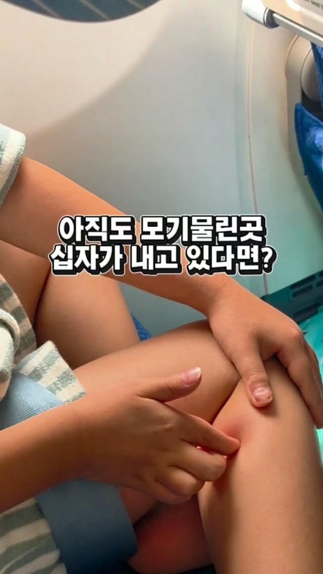 이동 접이식 빨래바구니