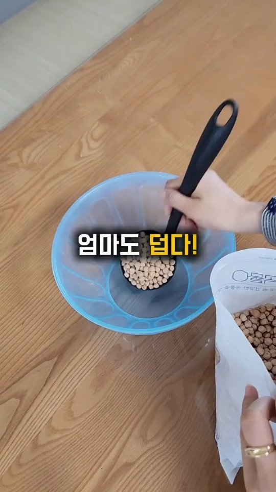 교복 계단 스냅 촬영