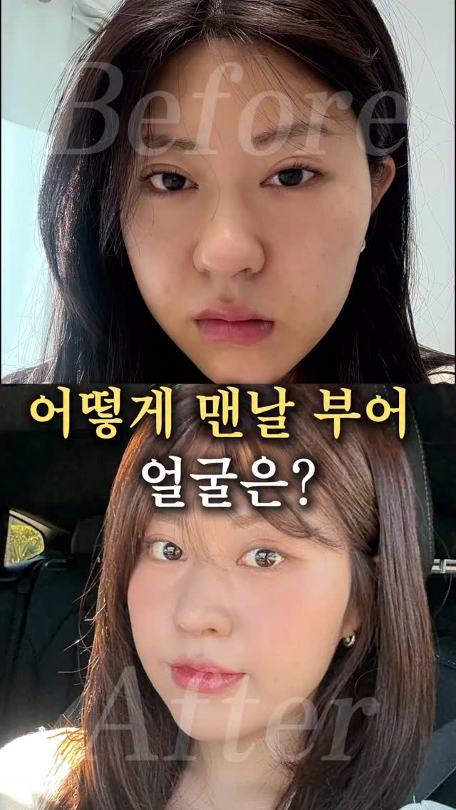 벌레 보드게임