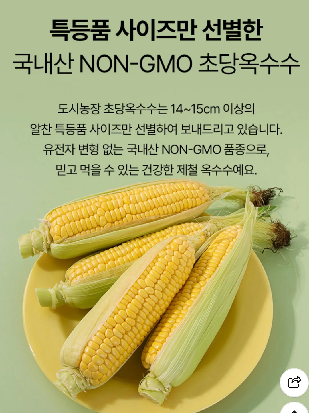 레스포색 × 헬로키티 컬렉션 15