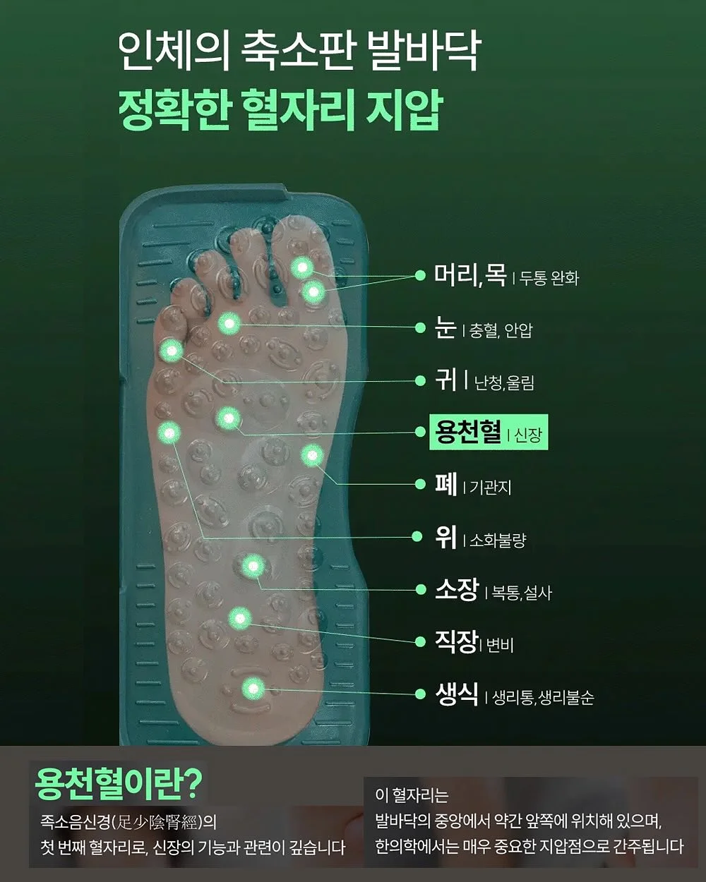 3M 변기클리너/청소 시트 14