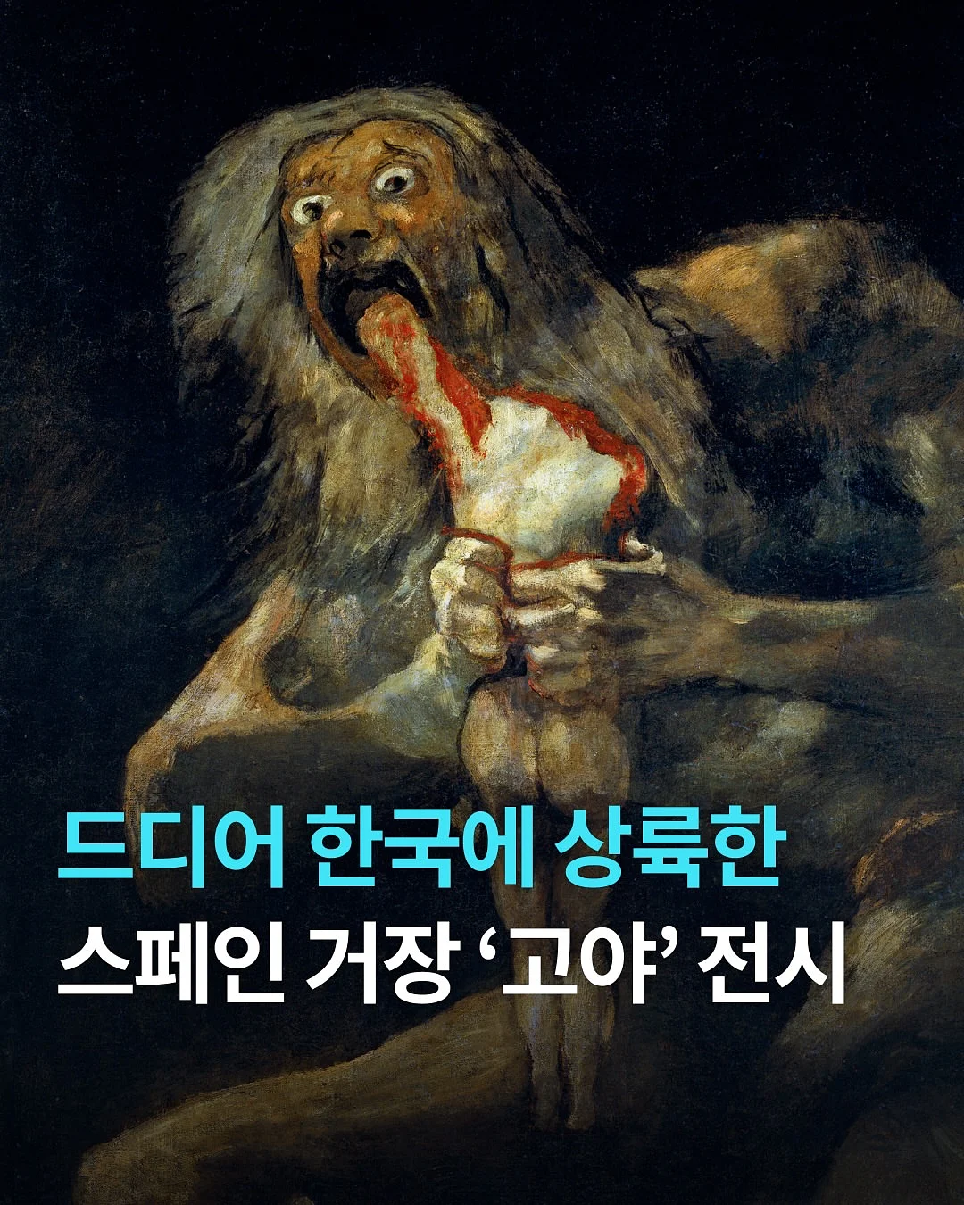 드제코 골라담기 1