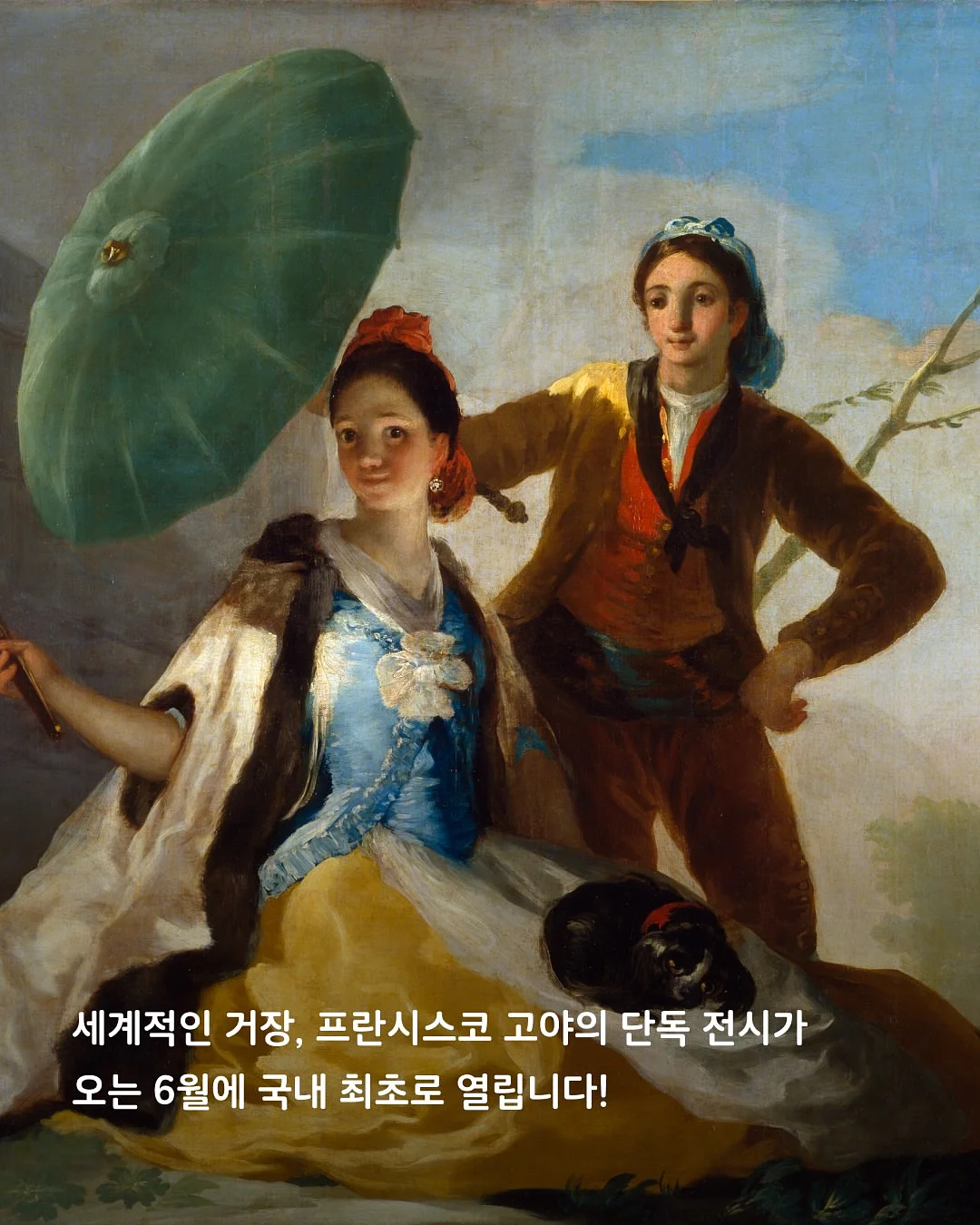 드제코 골라담기 2