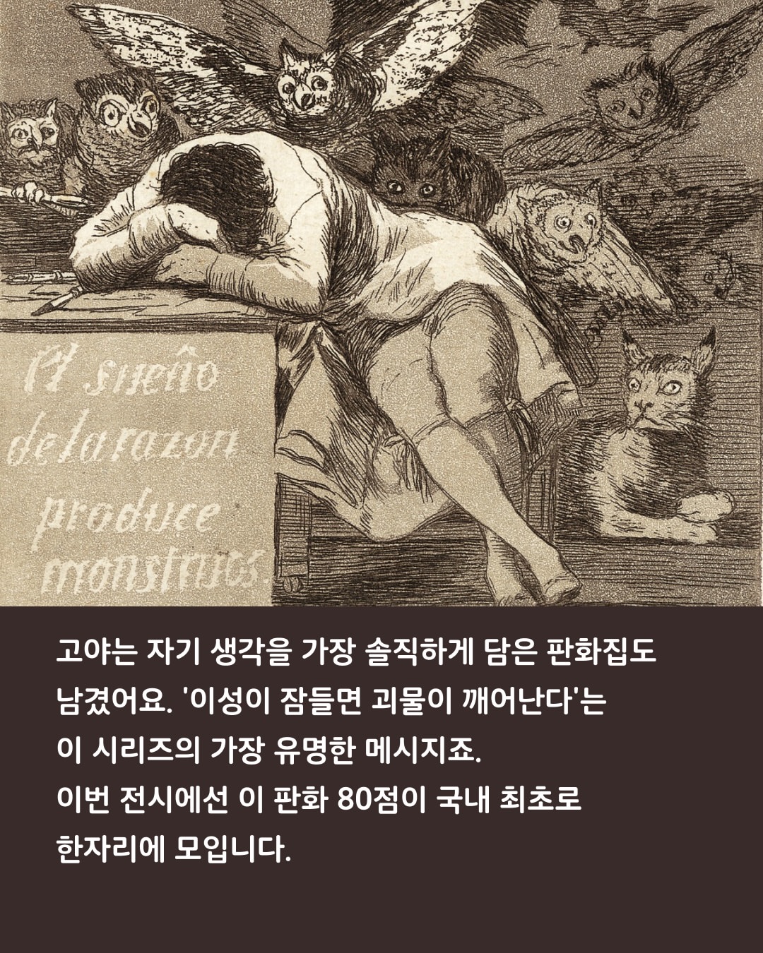 드제코 골라담기 8