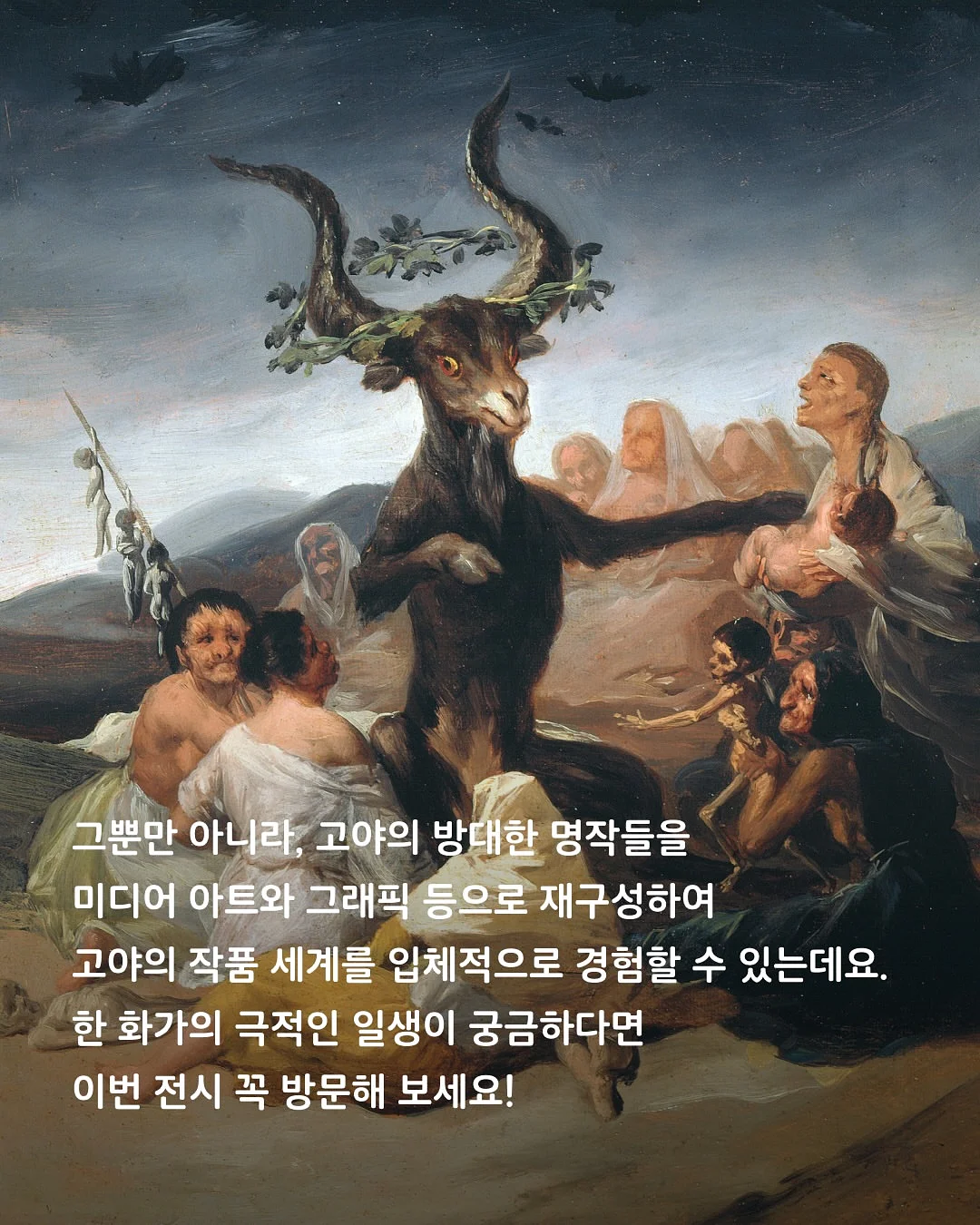 드제코 골라담기 9