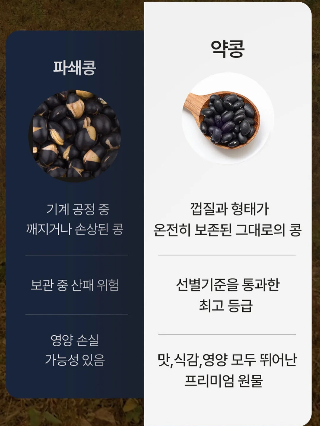 나이키 스프린트 시스터 W 20