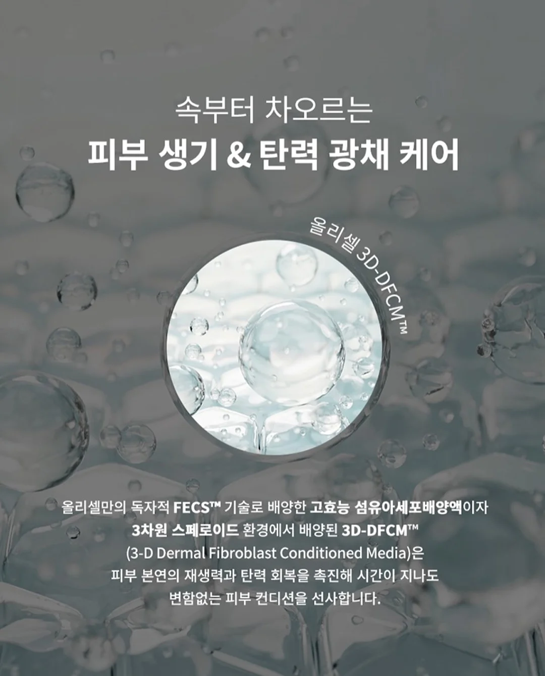 토니 - 리본프릴블라우스 12