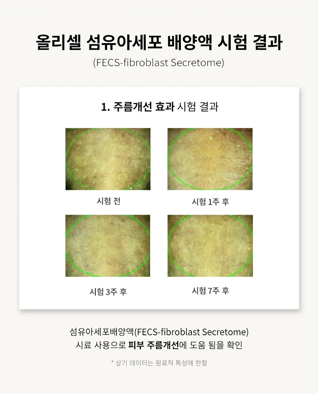 토니 - 리본프릴블라우스 13