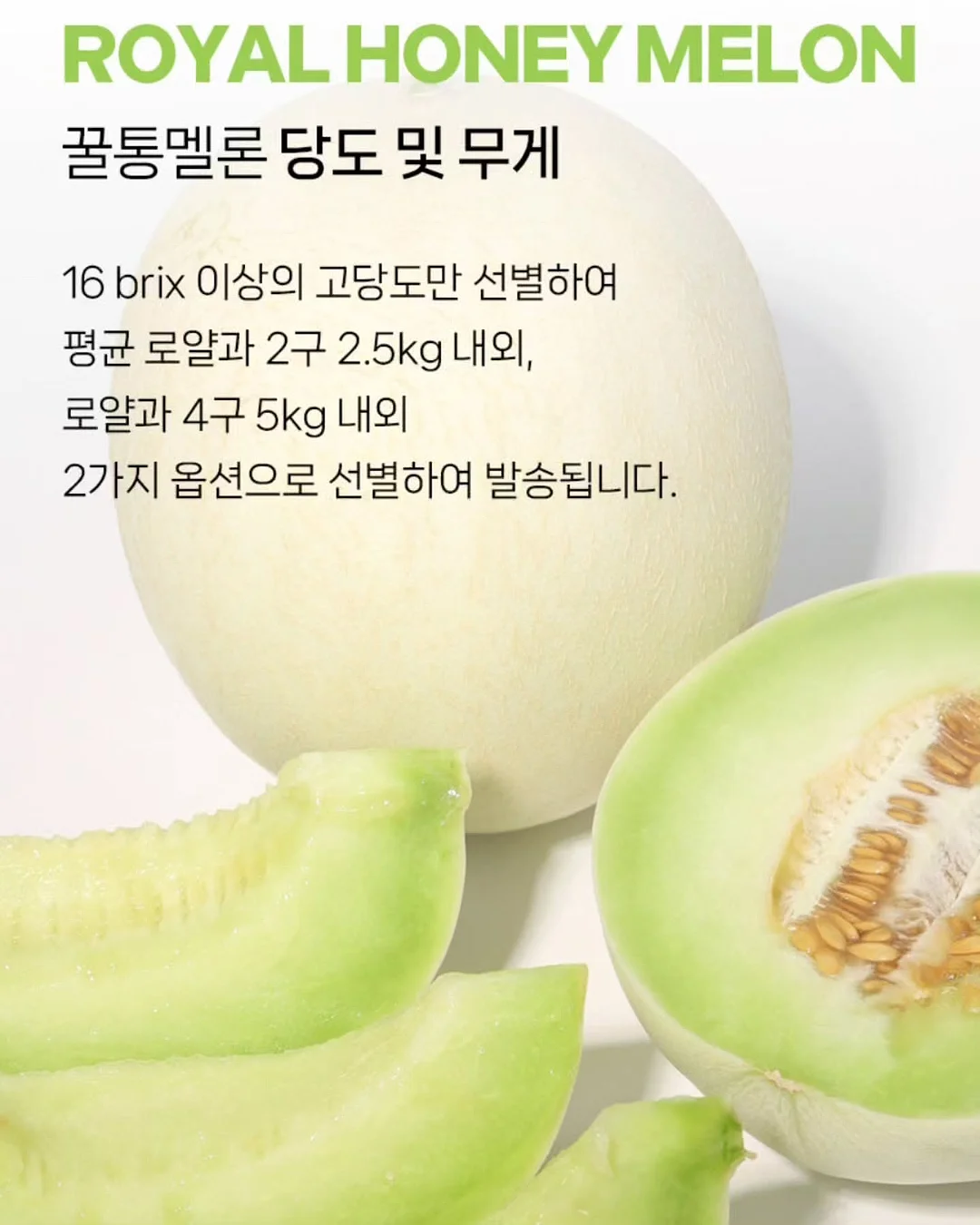 술마켓 베스트 정기배송 11