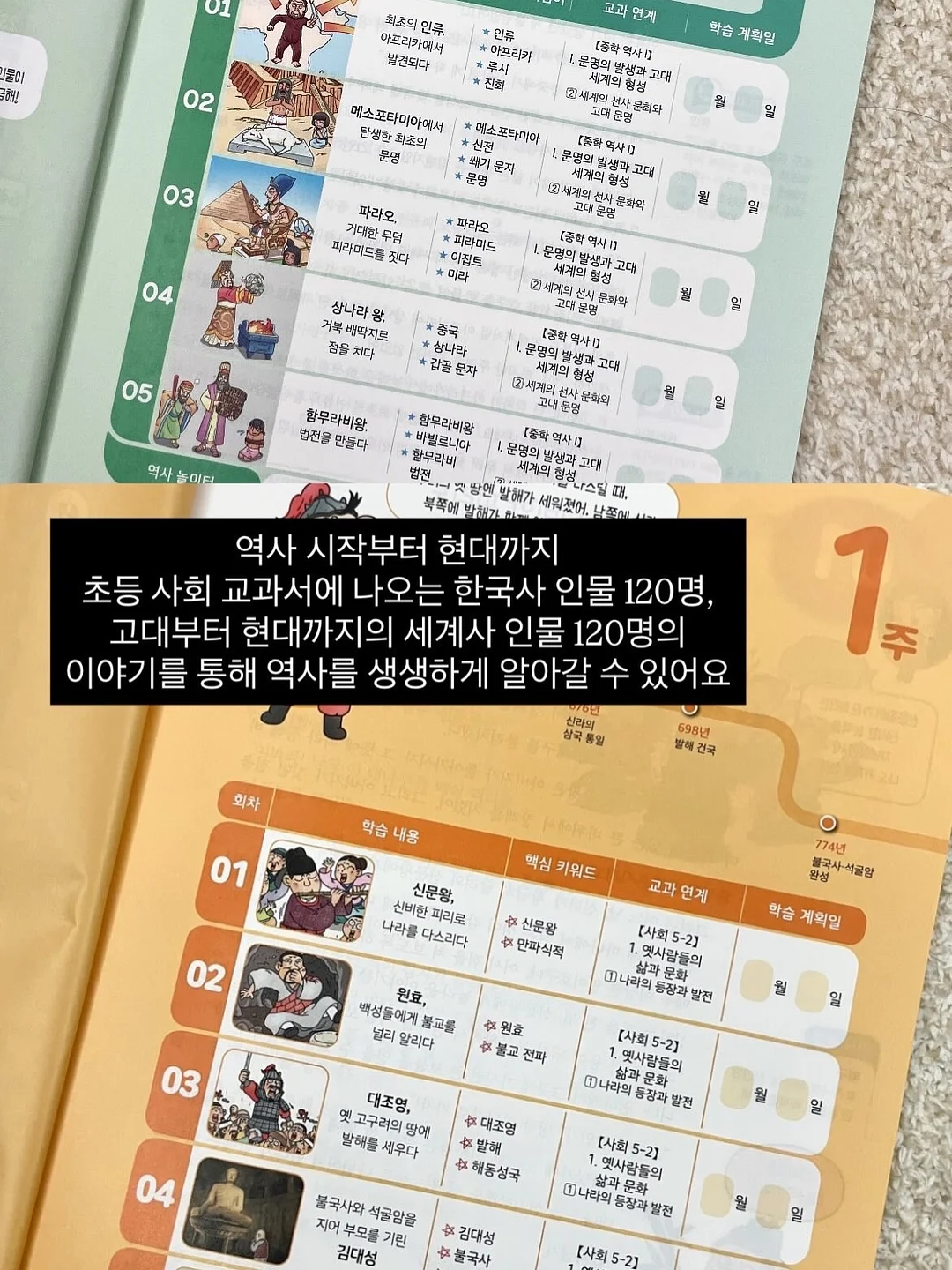 아르고나 4