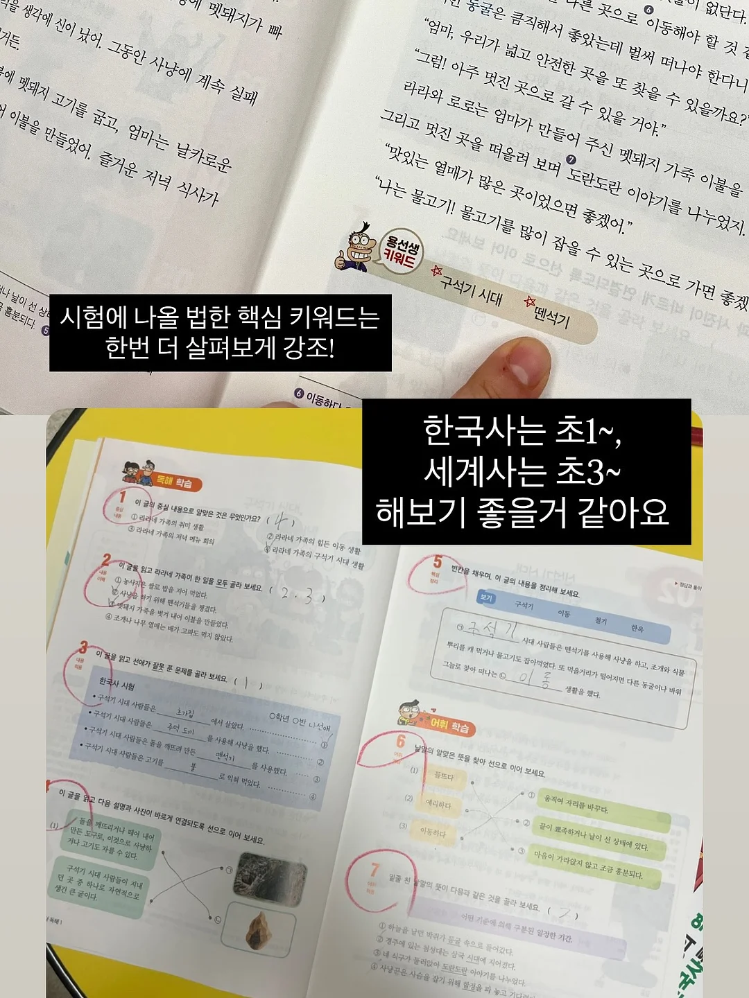 아르고나 6