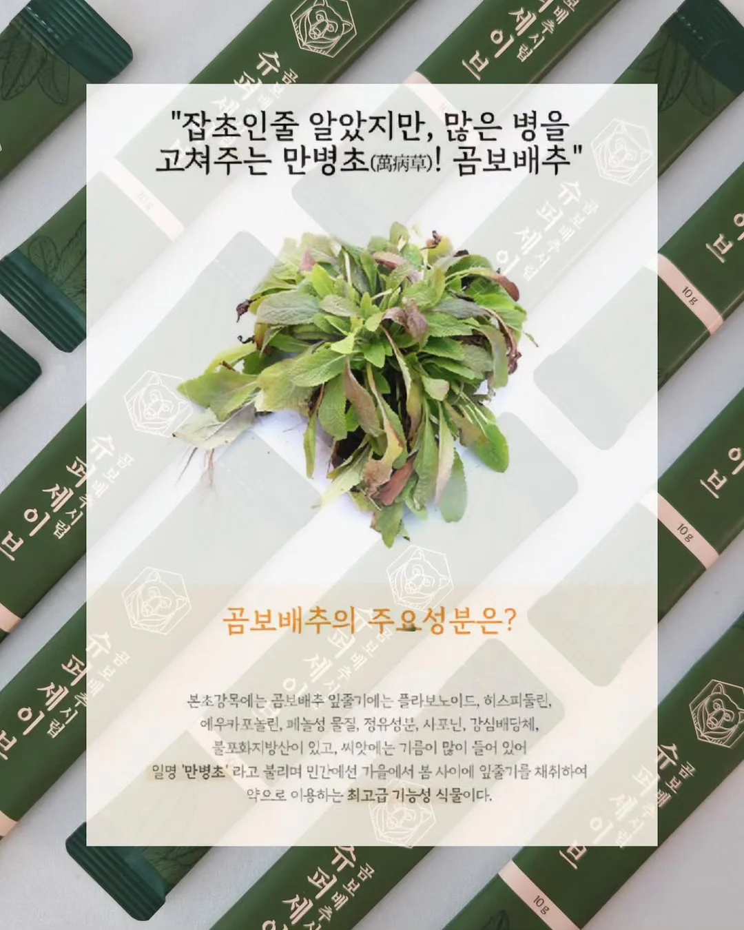 미라이키 여름 2차신상 4