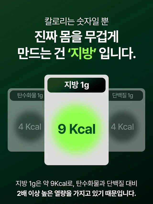 이중 암막 블라인드 6