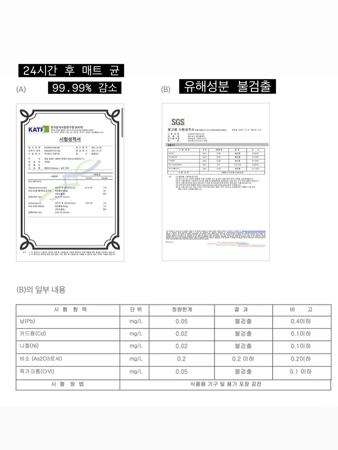 인체 자석 12