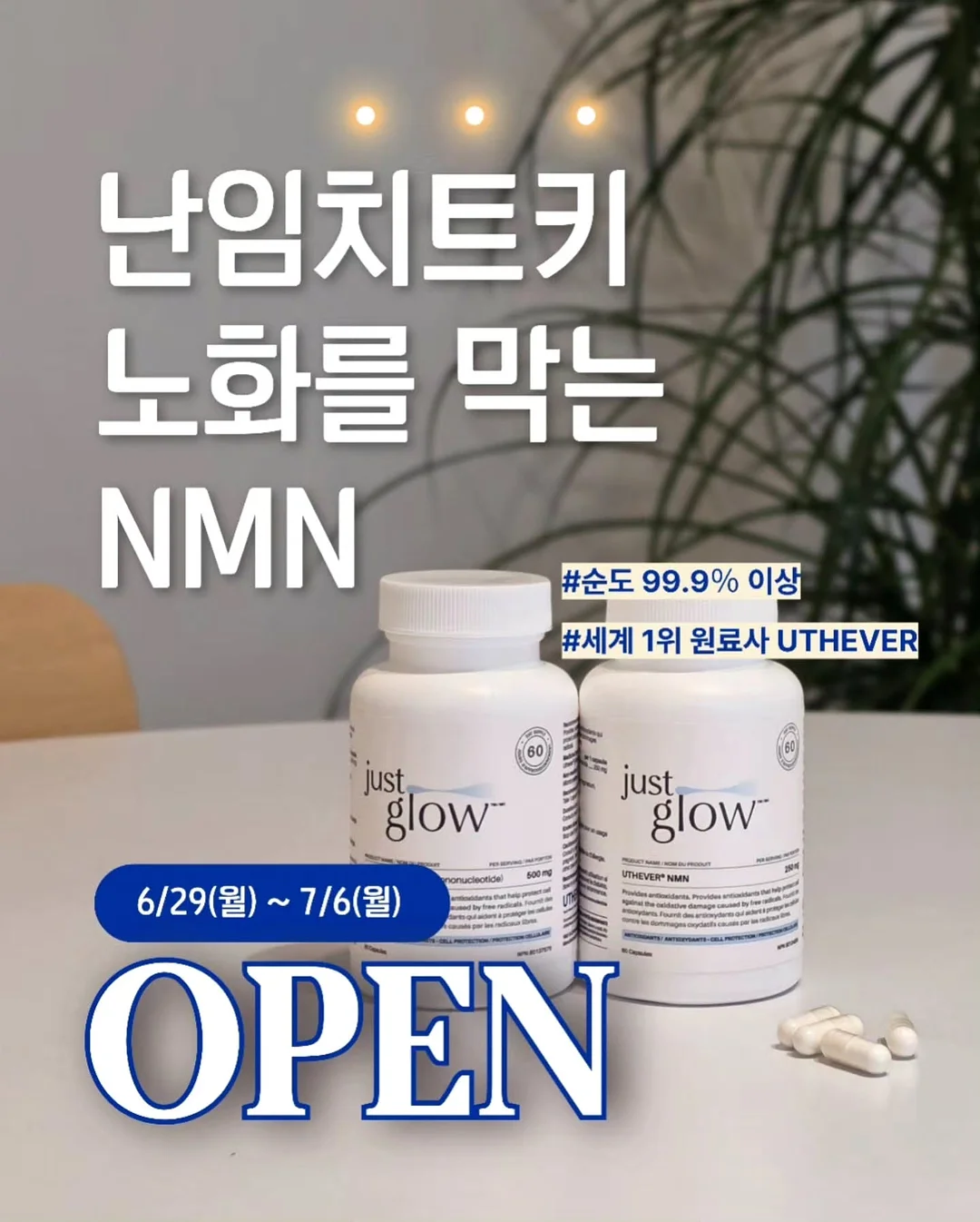 피어담다 × 데일리보자기 콜라보 패키지 3
