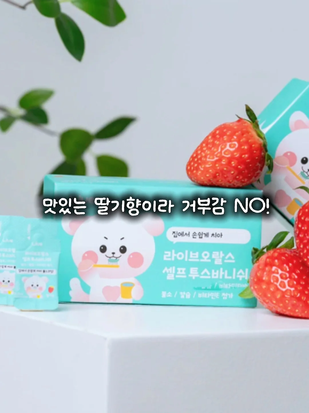 월프레임 13