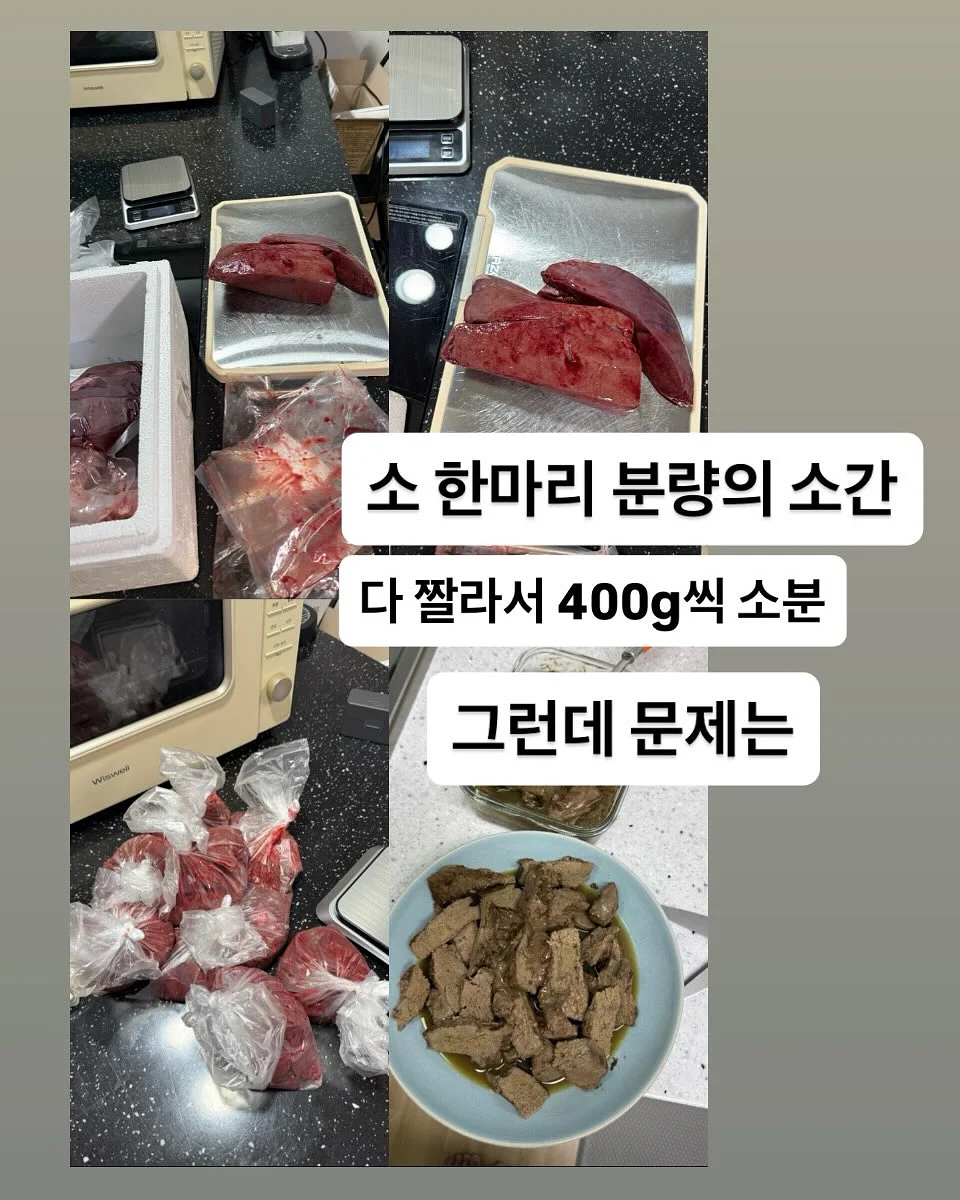 사파이어 쿨링 팬시 IPL 제모 의료기기 9