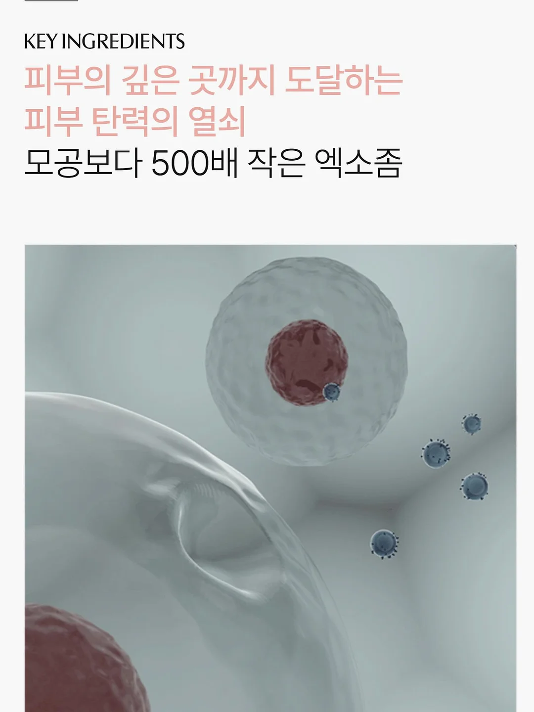 삭제밤 6