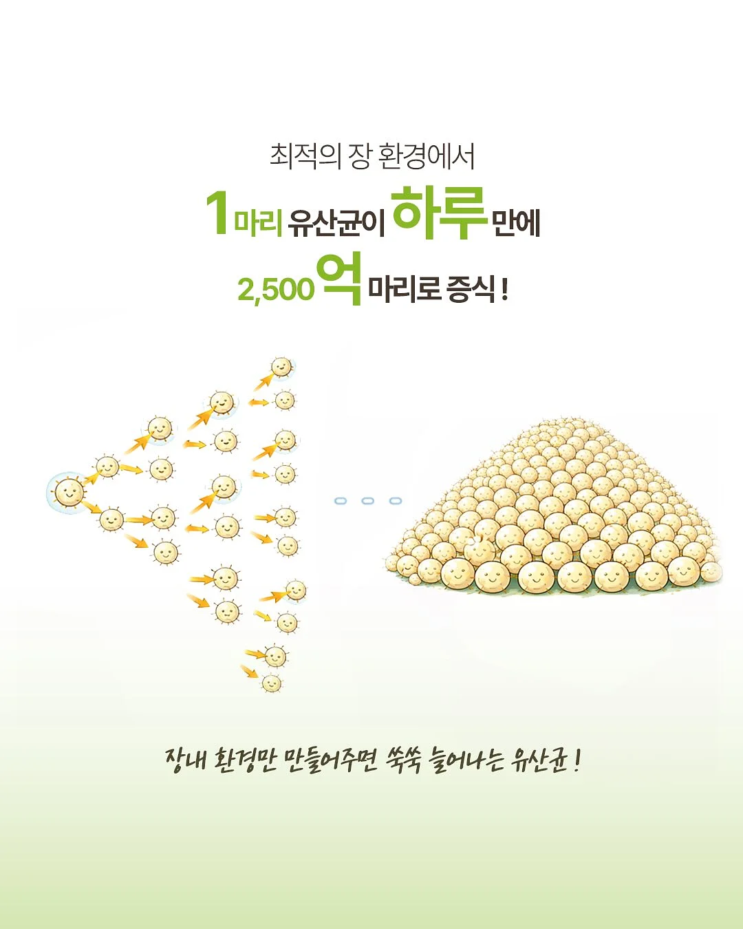 리즈커피 3