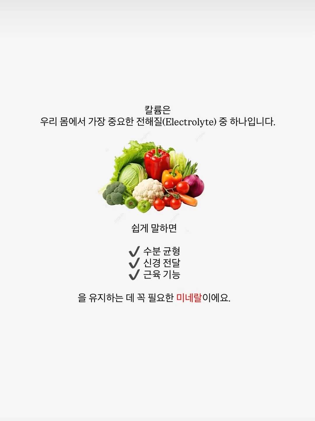 오넬리 듀얼스팀 에어프라이어 4