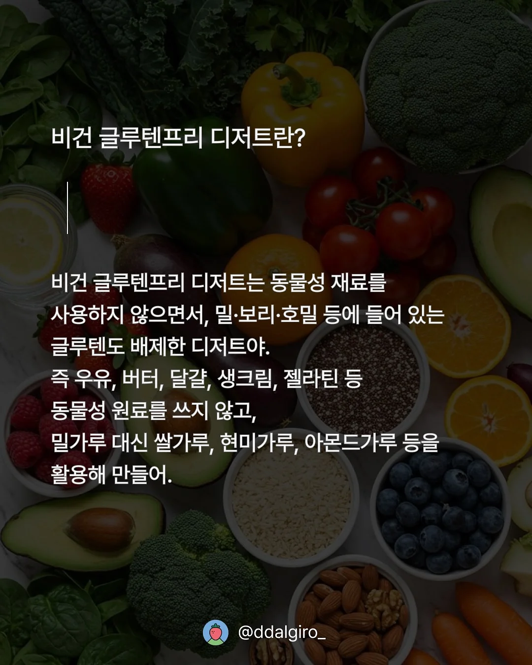 한라산과자점 티셔츠 키즈 라인 3