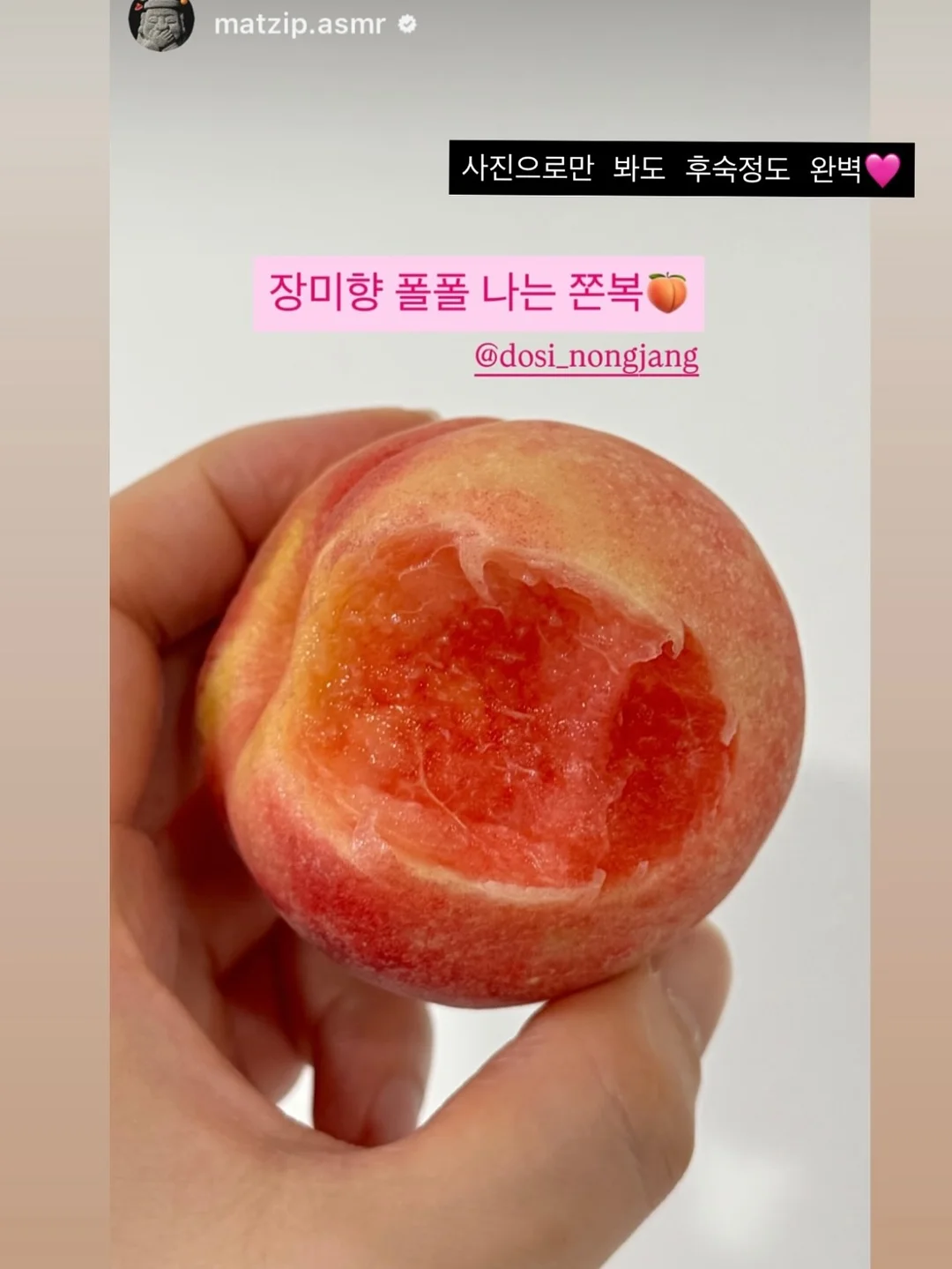필로티카 1