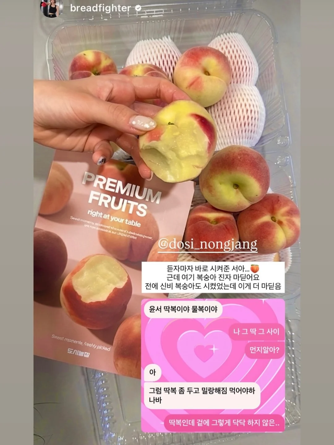 필로티카 11