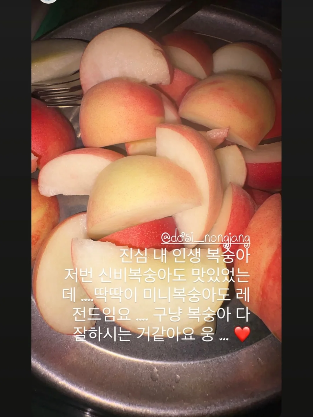 필로티카 13