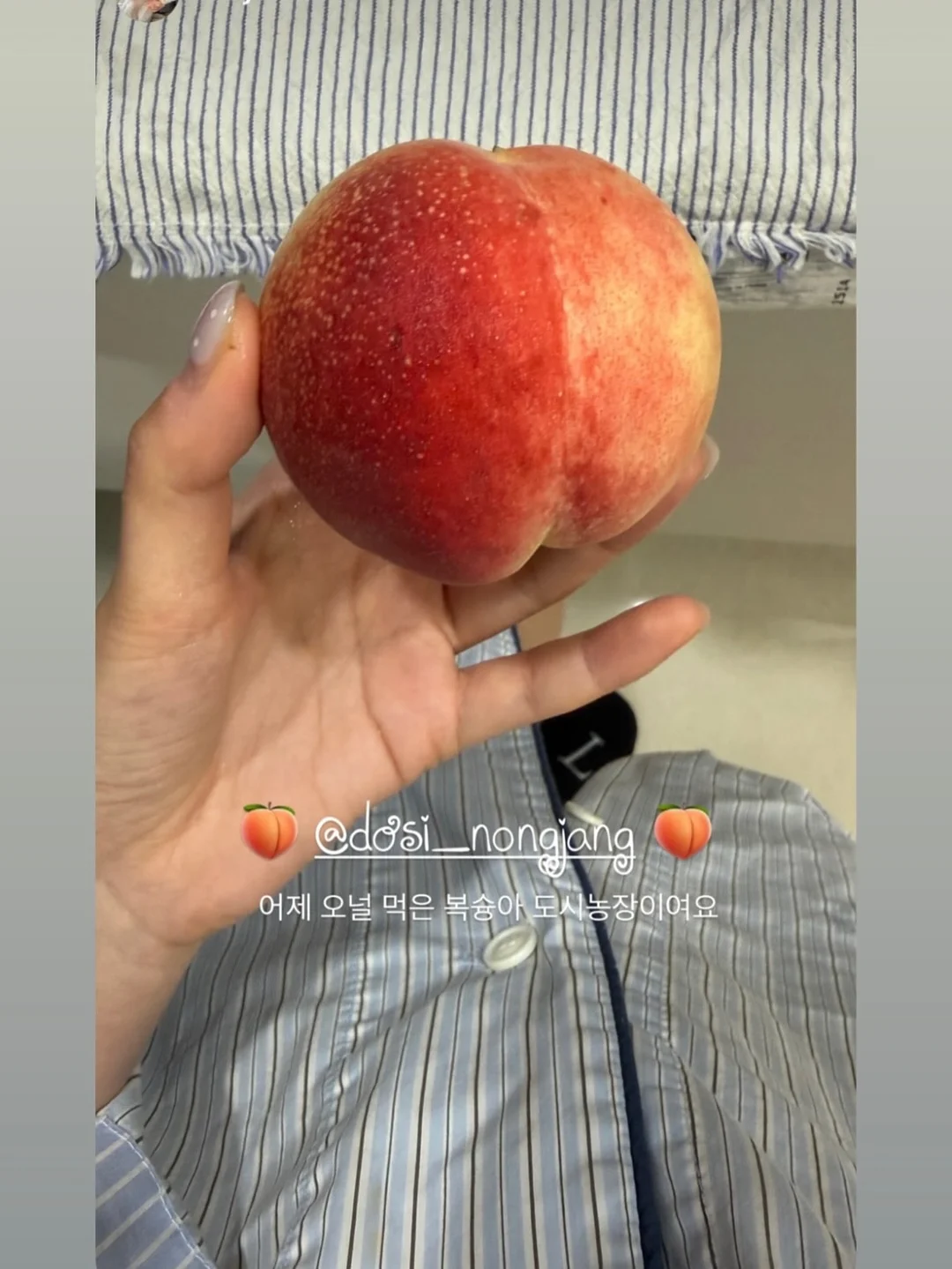 필로티카 15