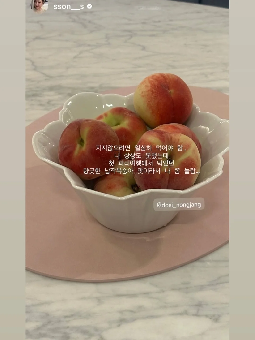 필로티카 17