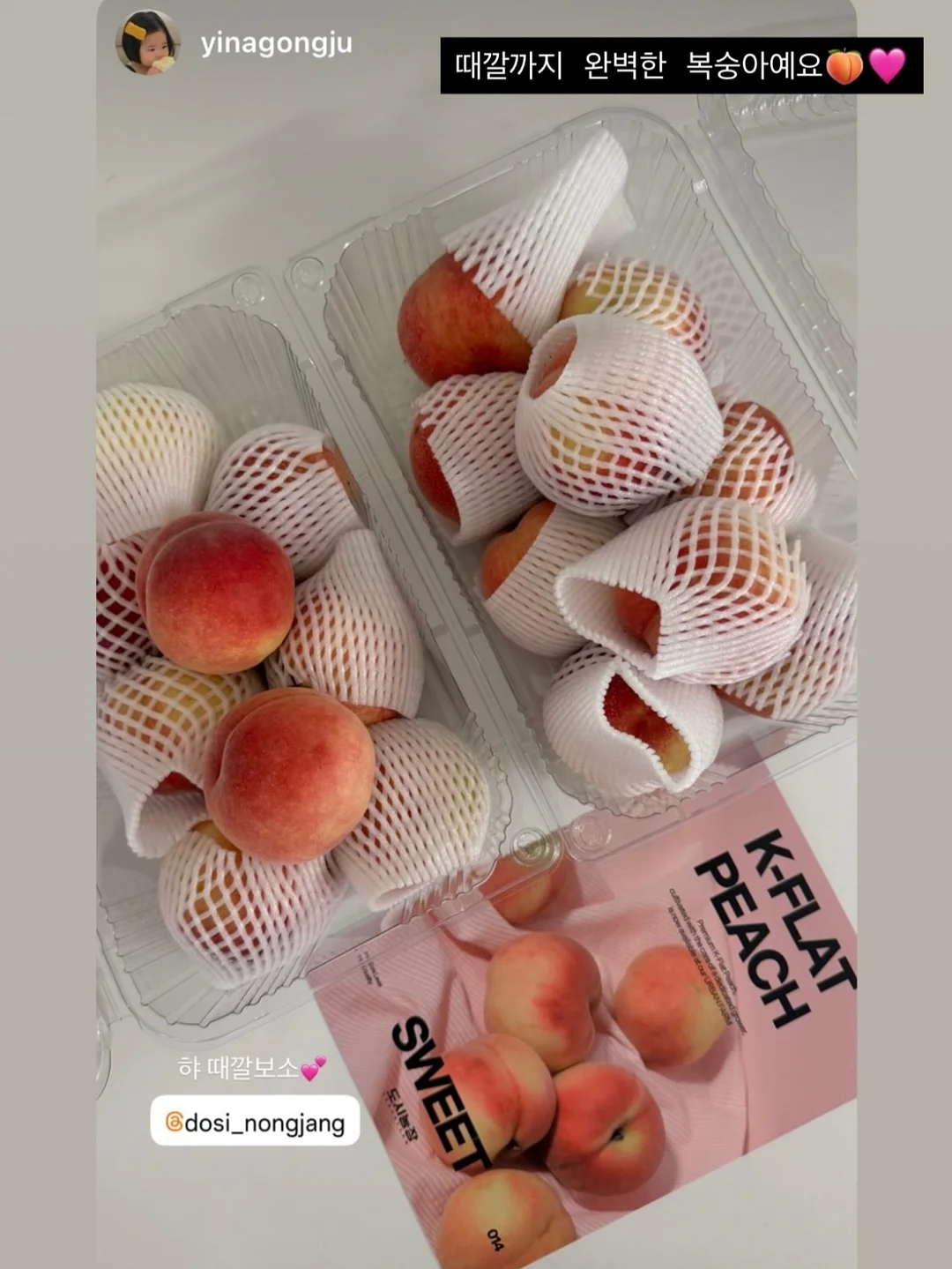 필로티카 19