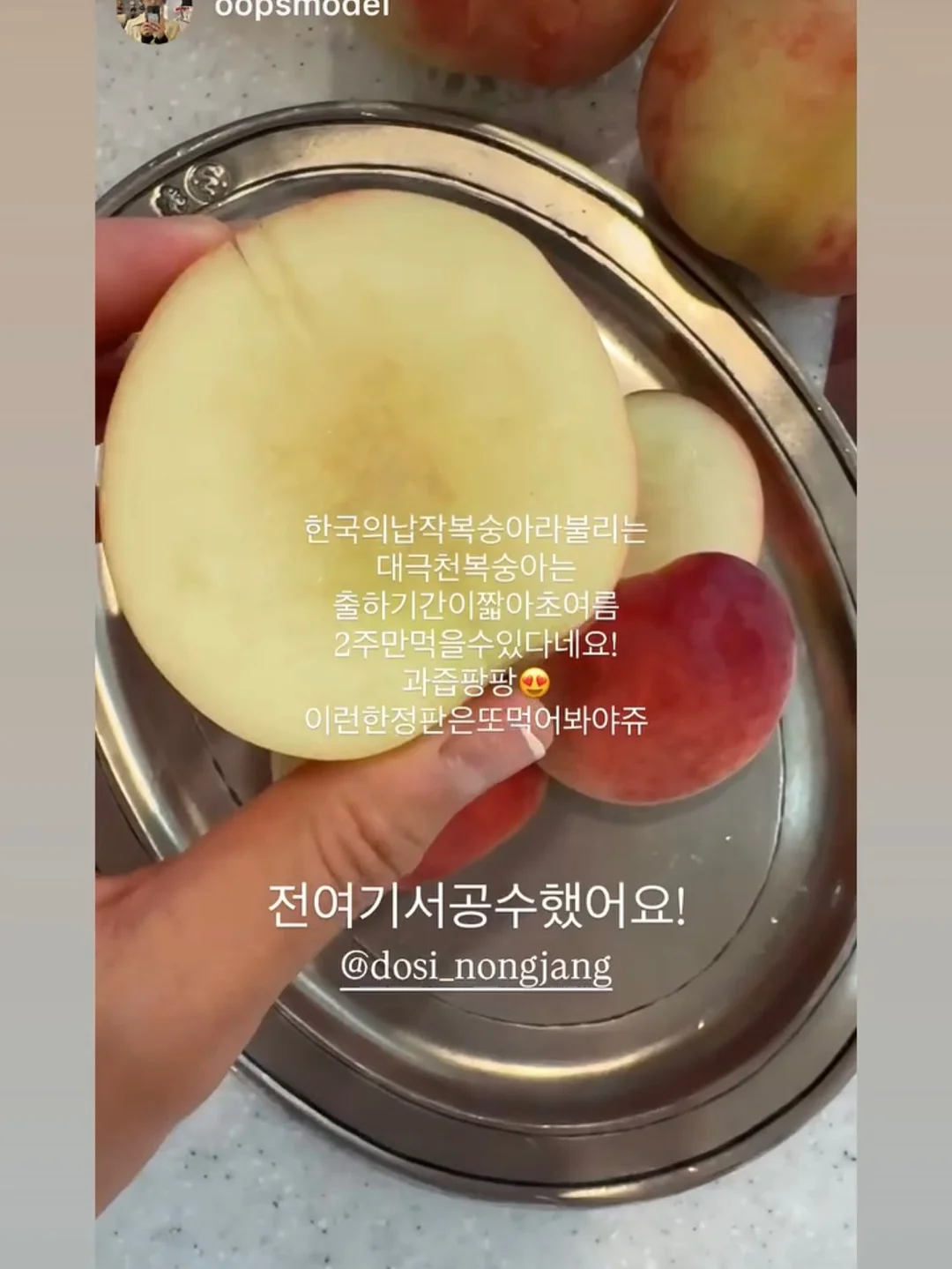 필로티카 3