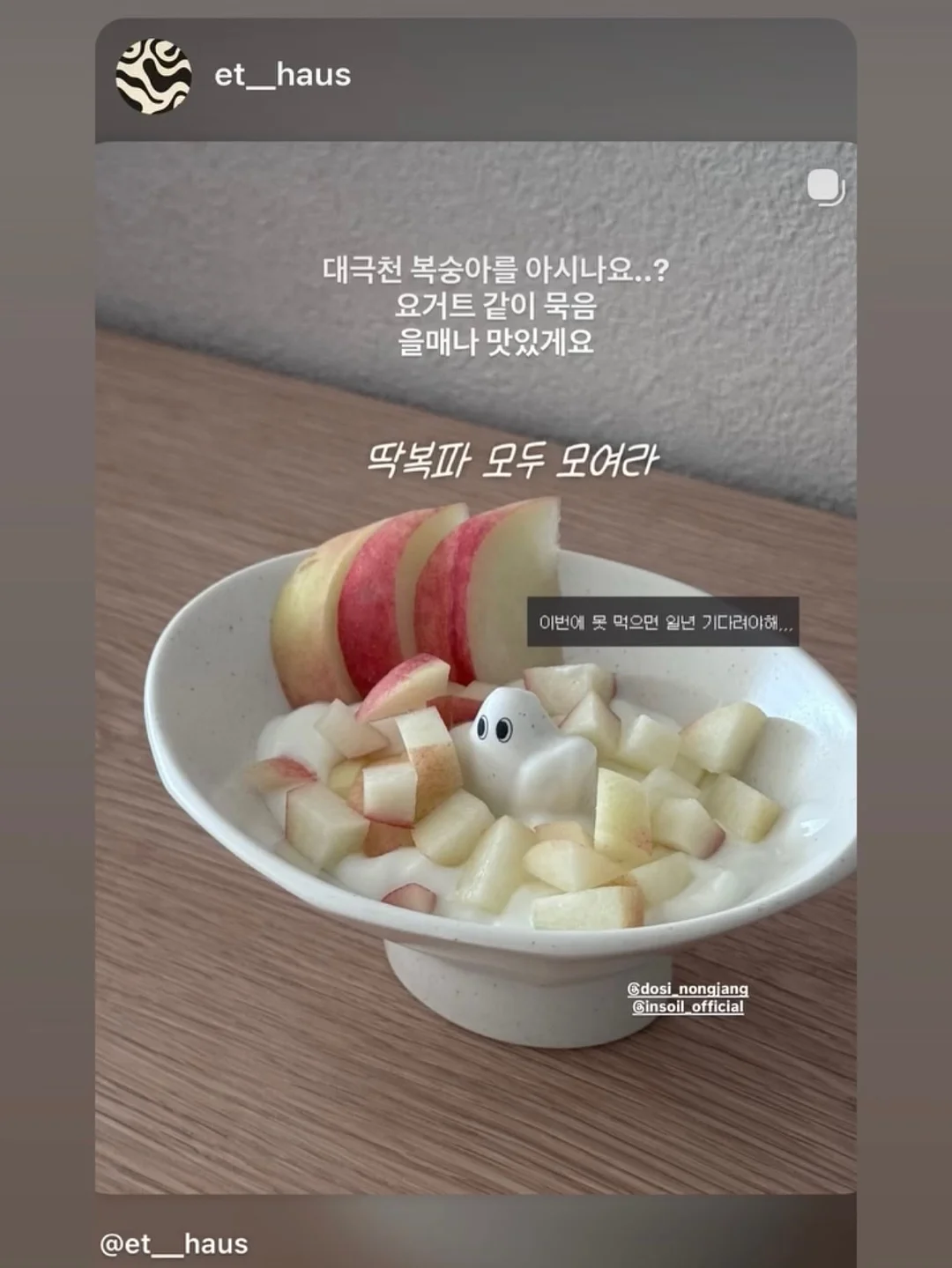 필로티카 4