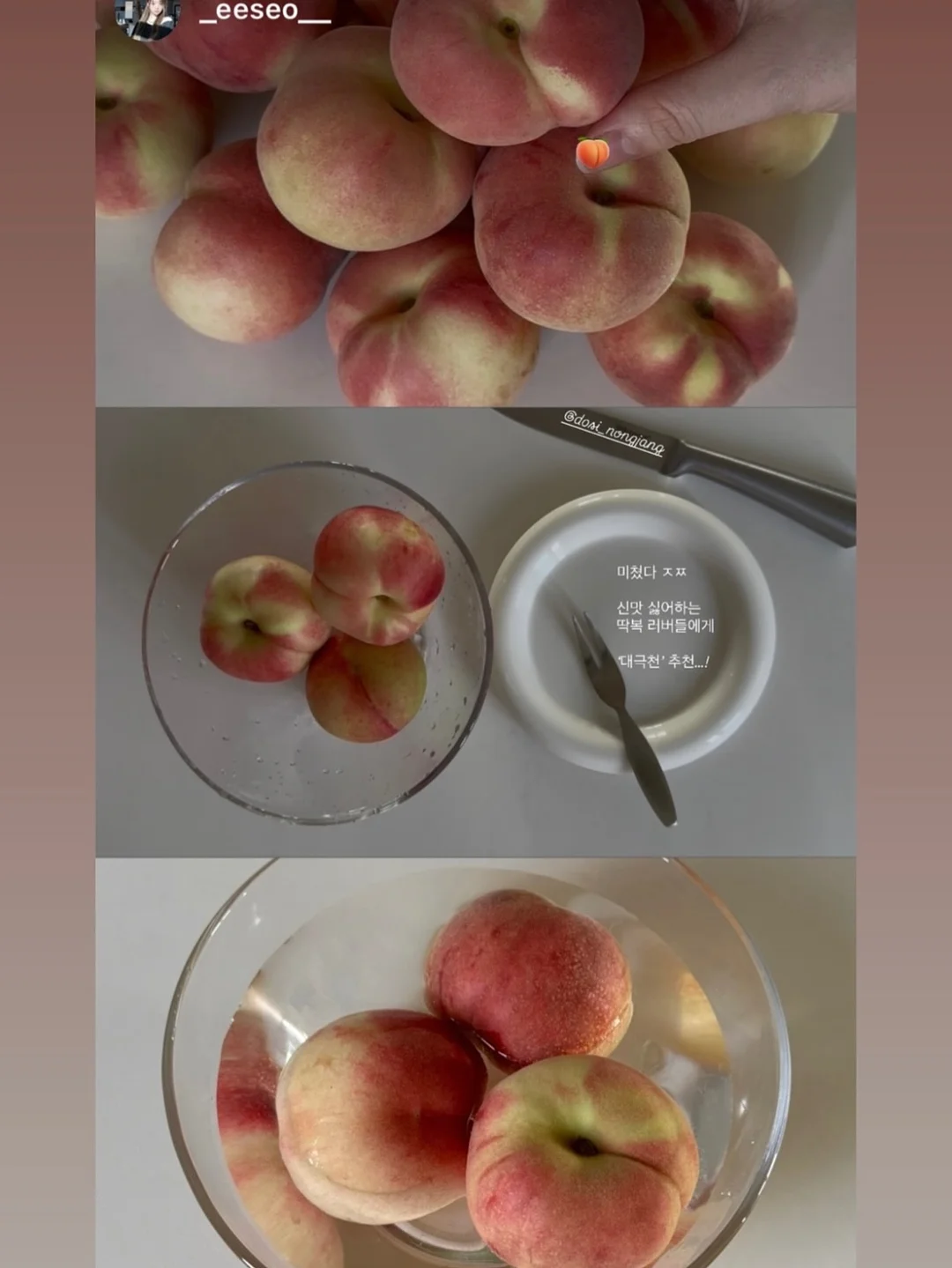 필로티카 6