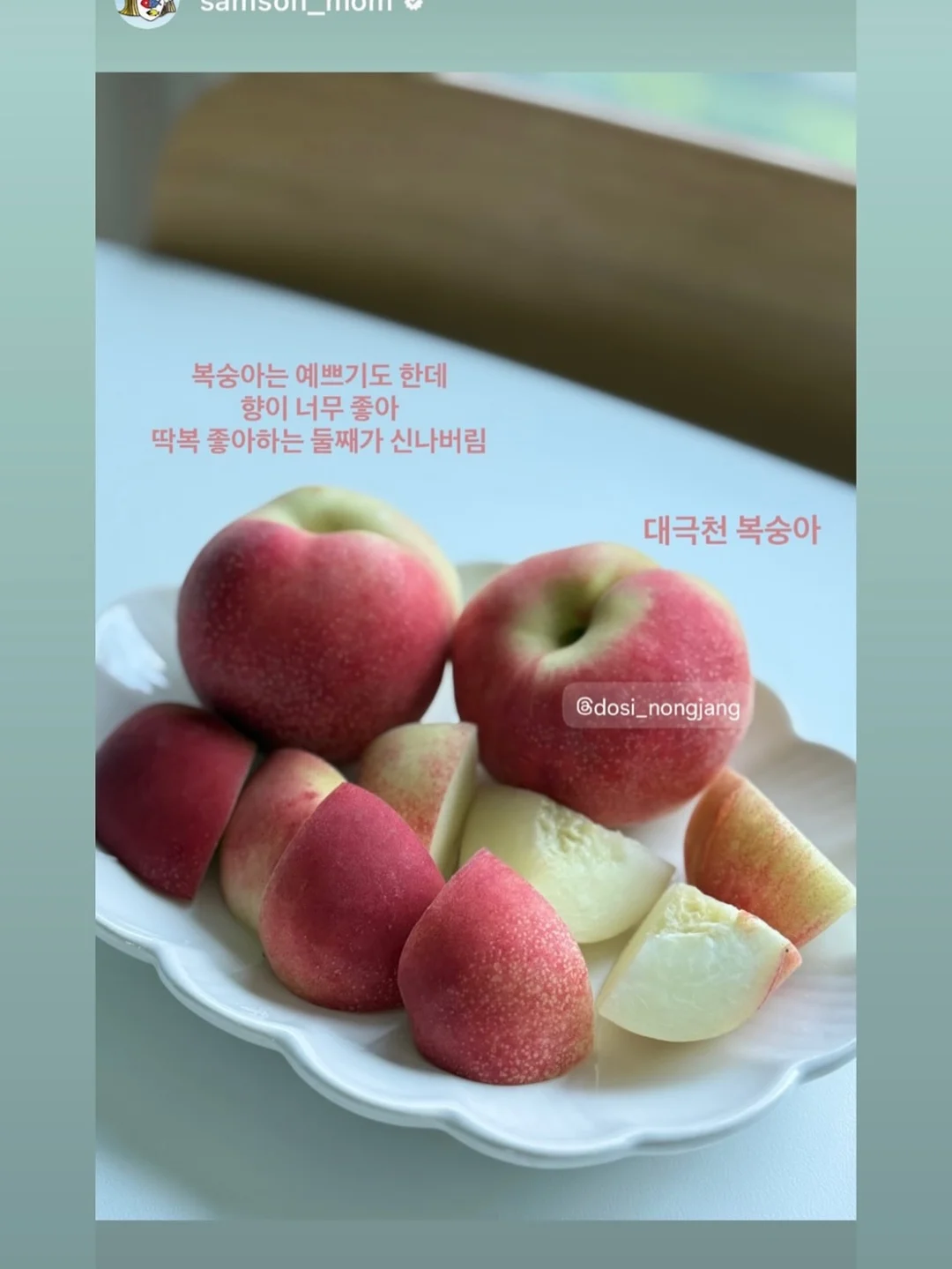 필로티카 7