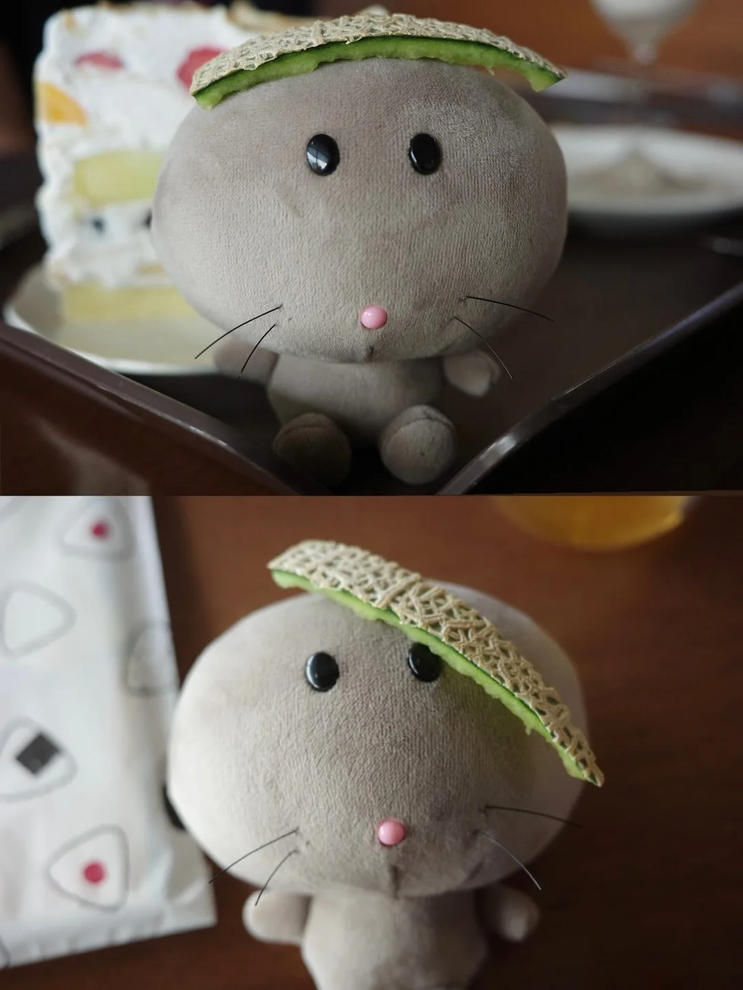 락토페린 다이어트 보조제 2