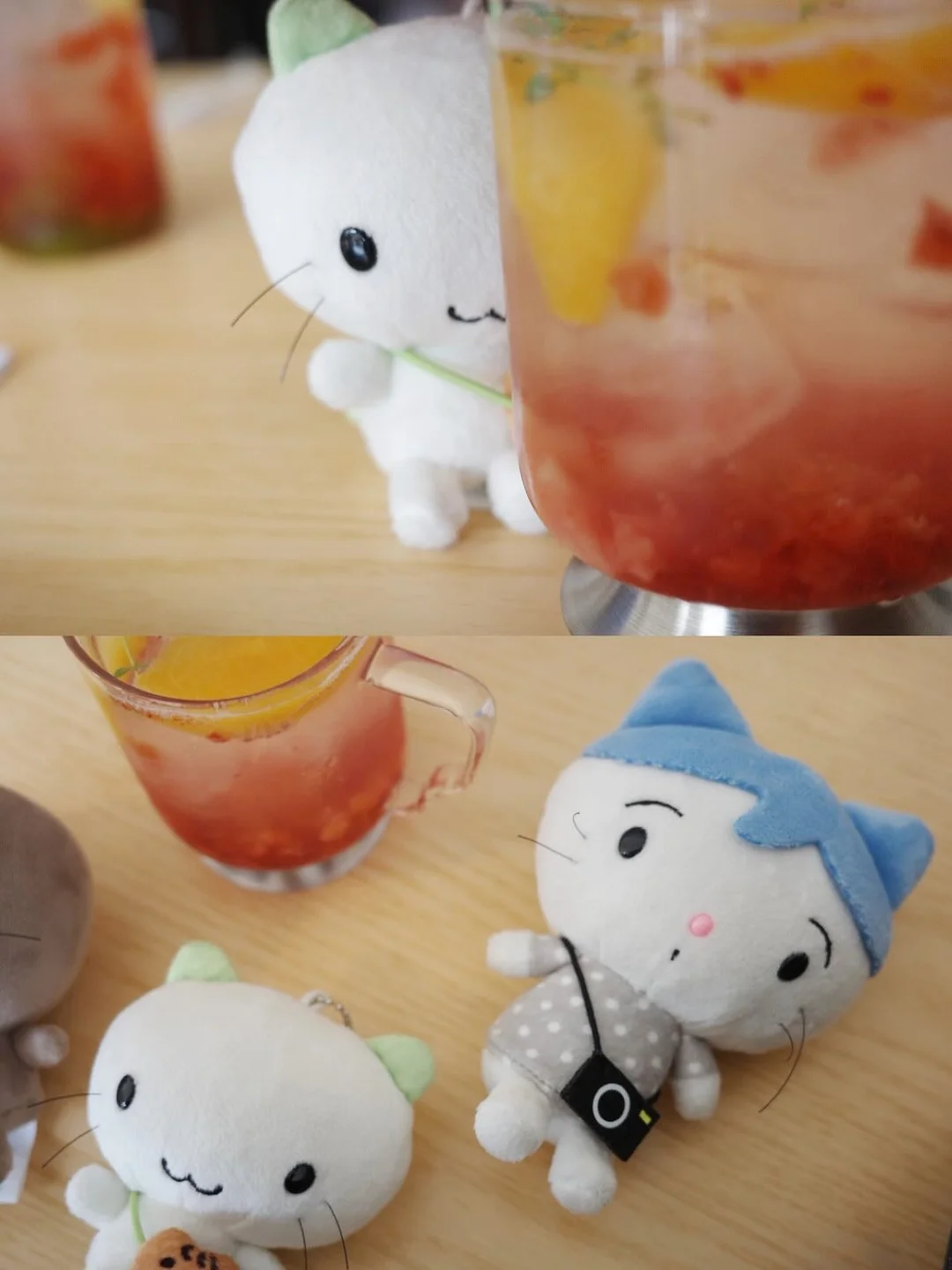 락토페린 다이어트 보조제 5