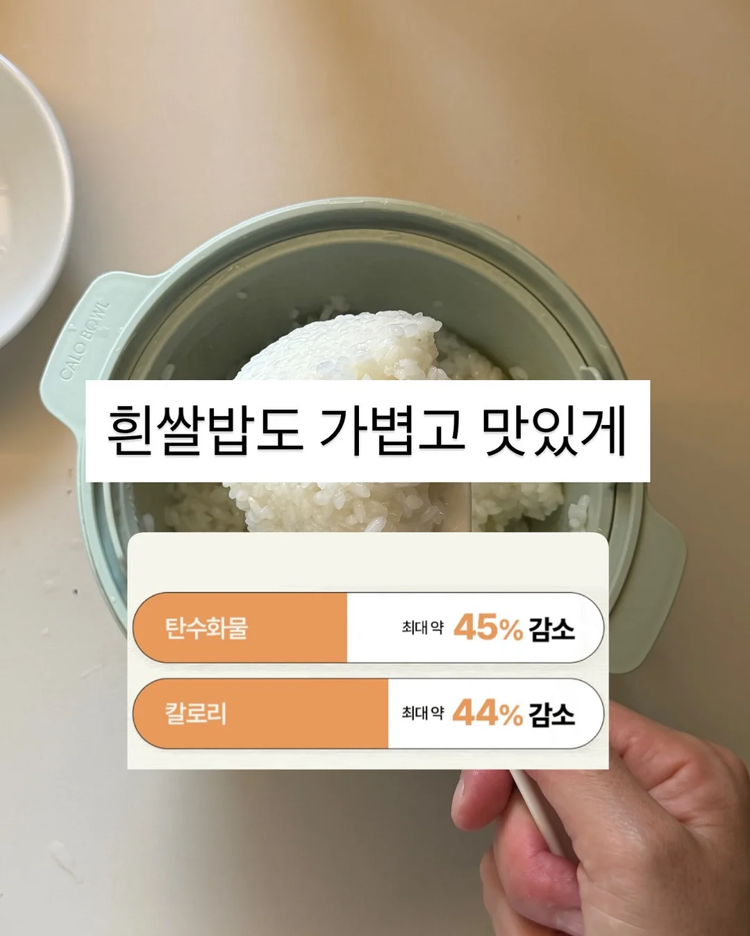 온리로즈 바스켓 2