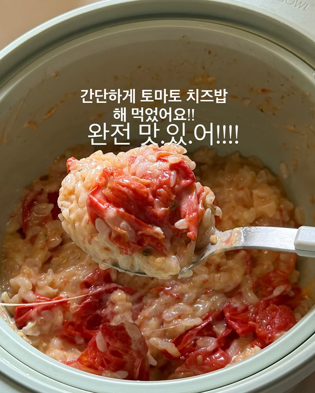 온리로즈 바스켓 7
