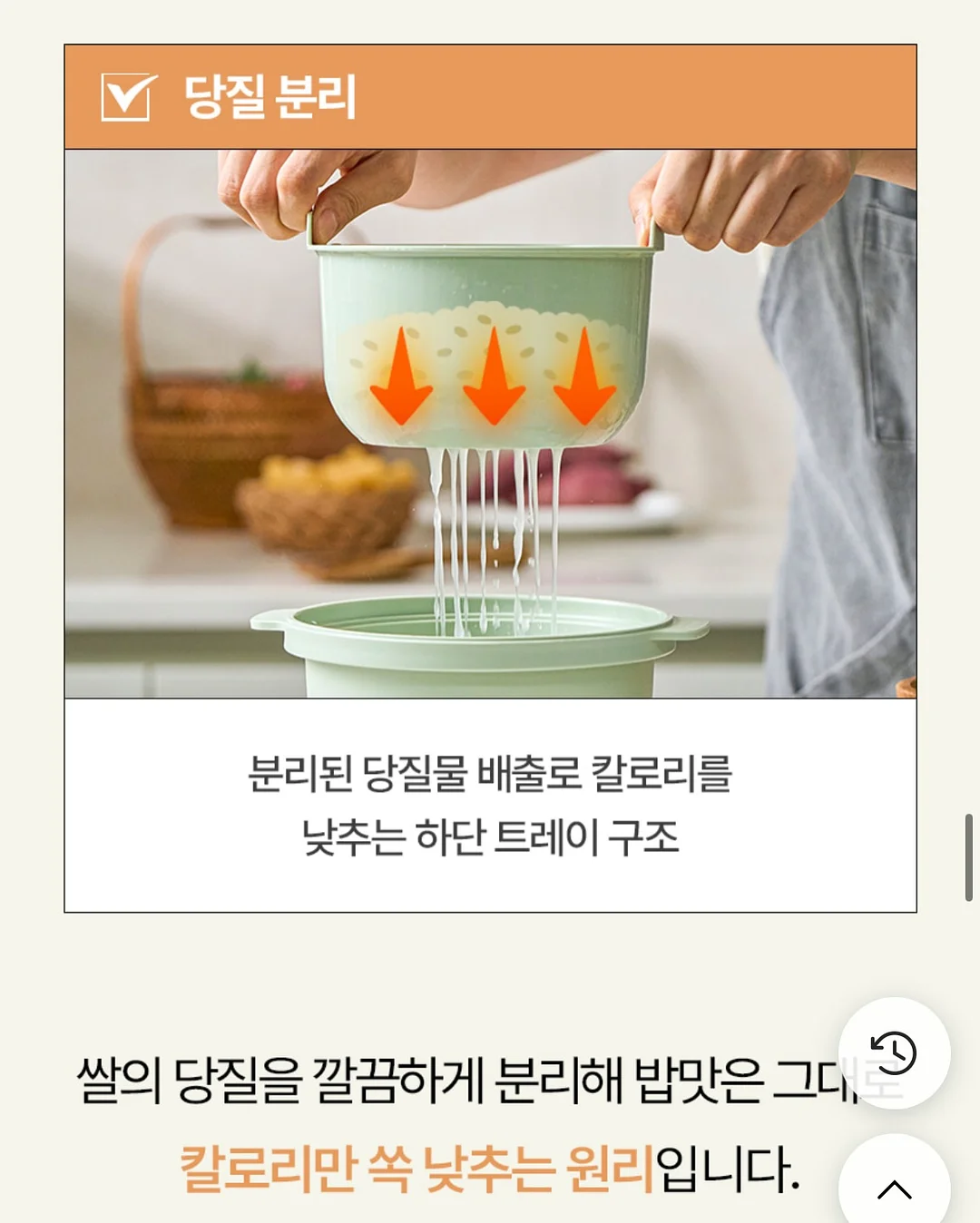 온리로즈 바스켓 10