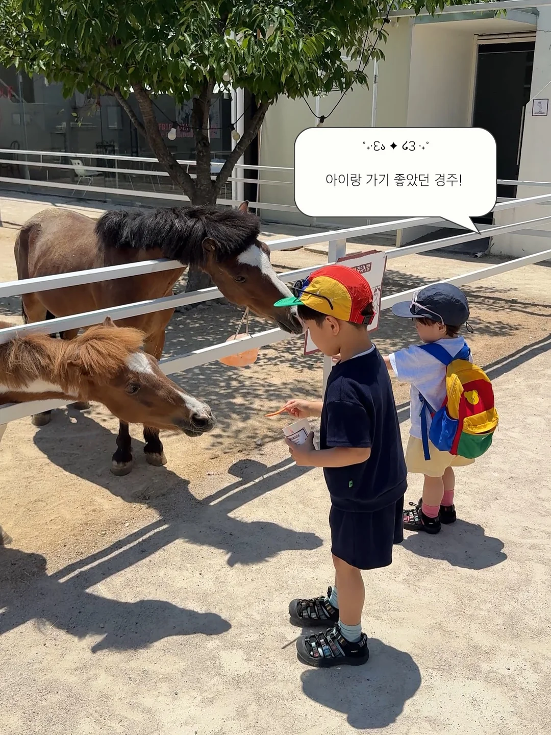 세안퍼프 1