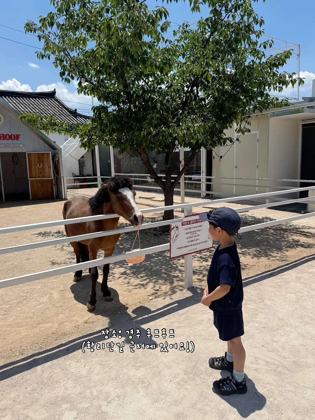 세안퍼프 2